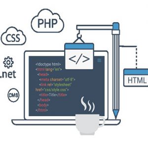 Software Web Application Website Development